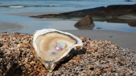 Where Do Pearls Come From? Uncovering the Secrets