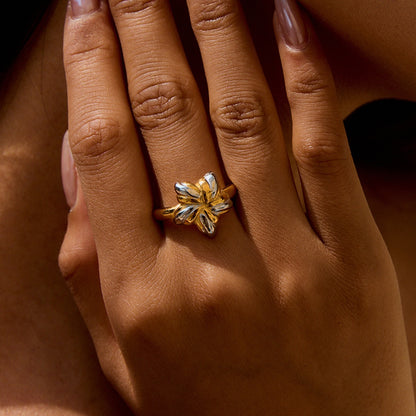 18K Gold and Silver Two Tone Cosmic Motion Statement Star Ring