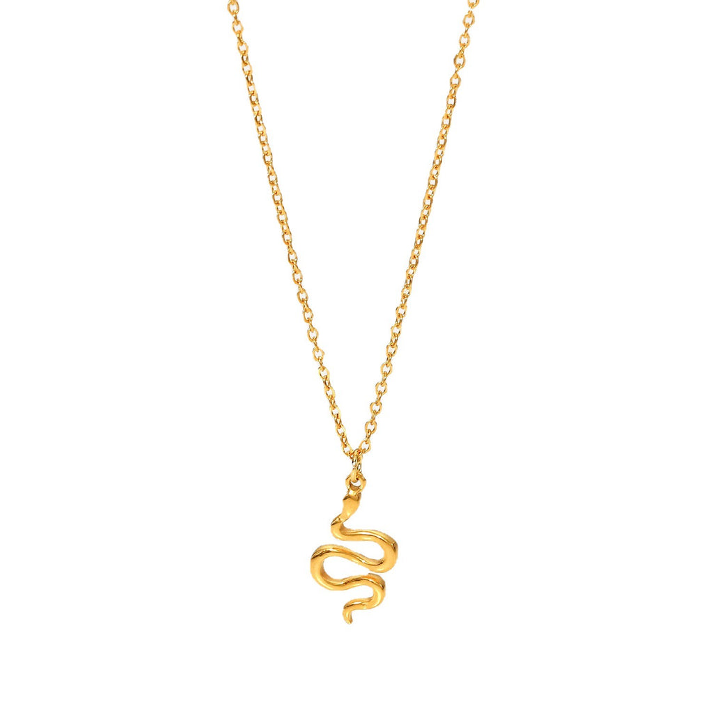 18K Gold Dainty Snake Pendant Necklace