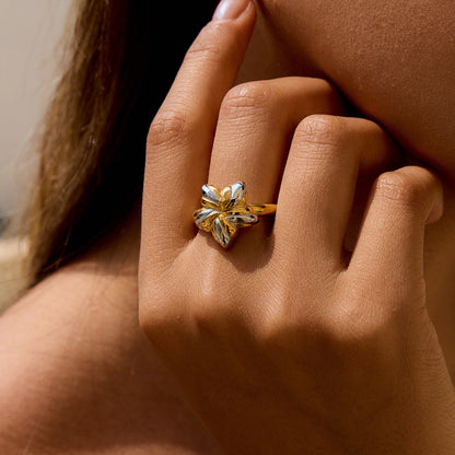18K Gold and Silver Two Tone Cosmic Motion Statement Star Ring