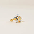 18K Gold and Silver Two Tone Cosmic Motion Statement Star Ring